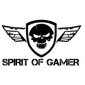 Spirit of gamer